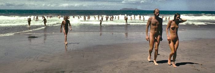 Free Beaches NZ