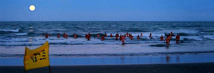 Free Beaches NZ